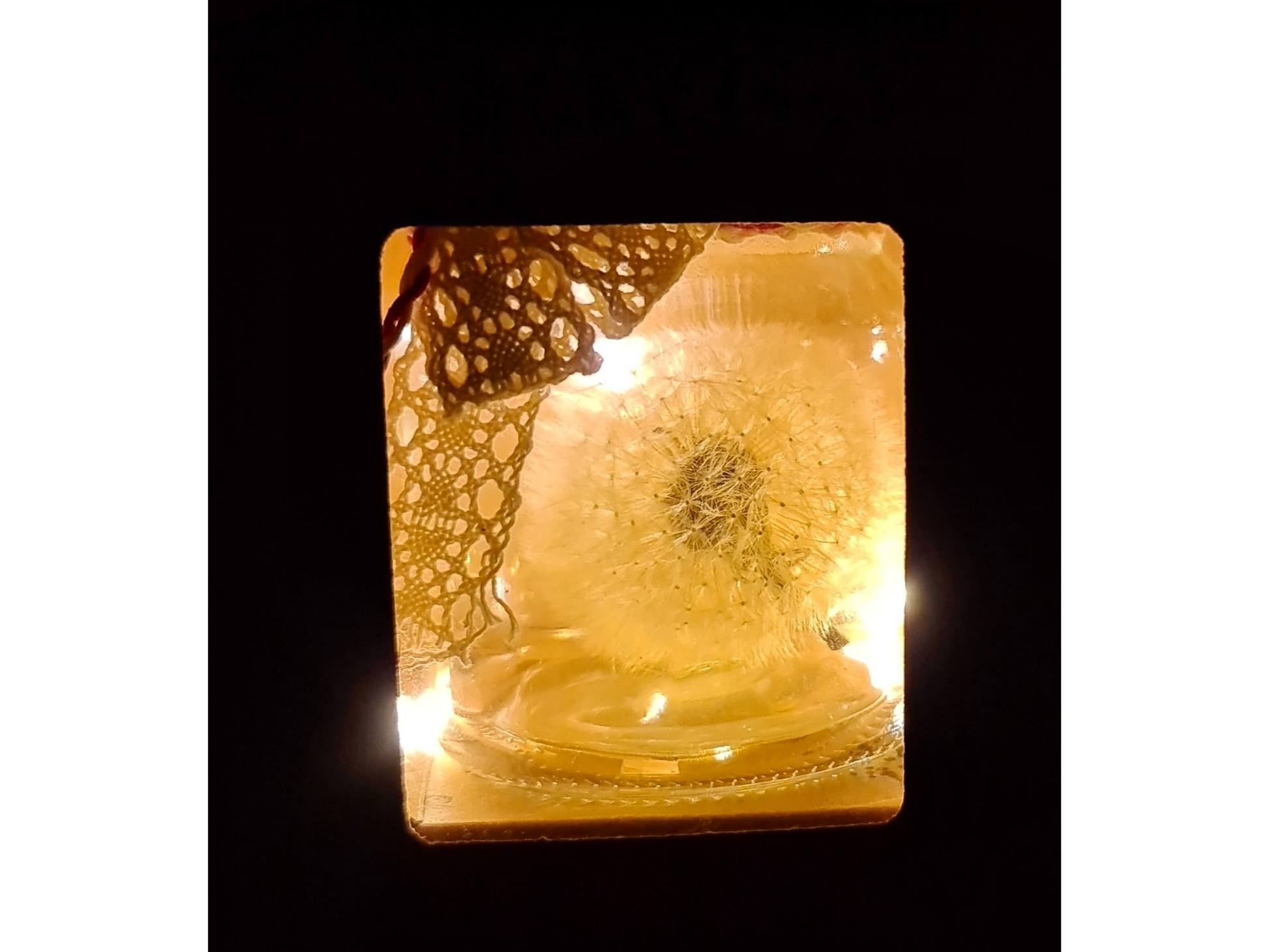 Wunsch im Glas mit echter Pusteblume | Geschenk für Freundin, Mama, Kollegin, Lehrerin | Wunscherfüller | Opt. mit Lichterkette I Abschied