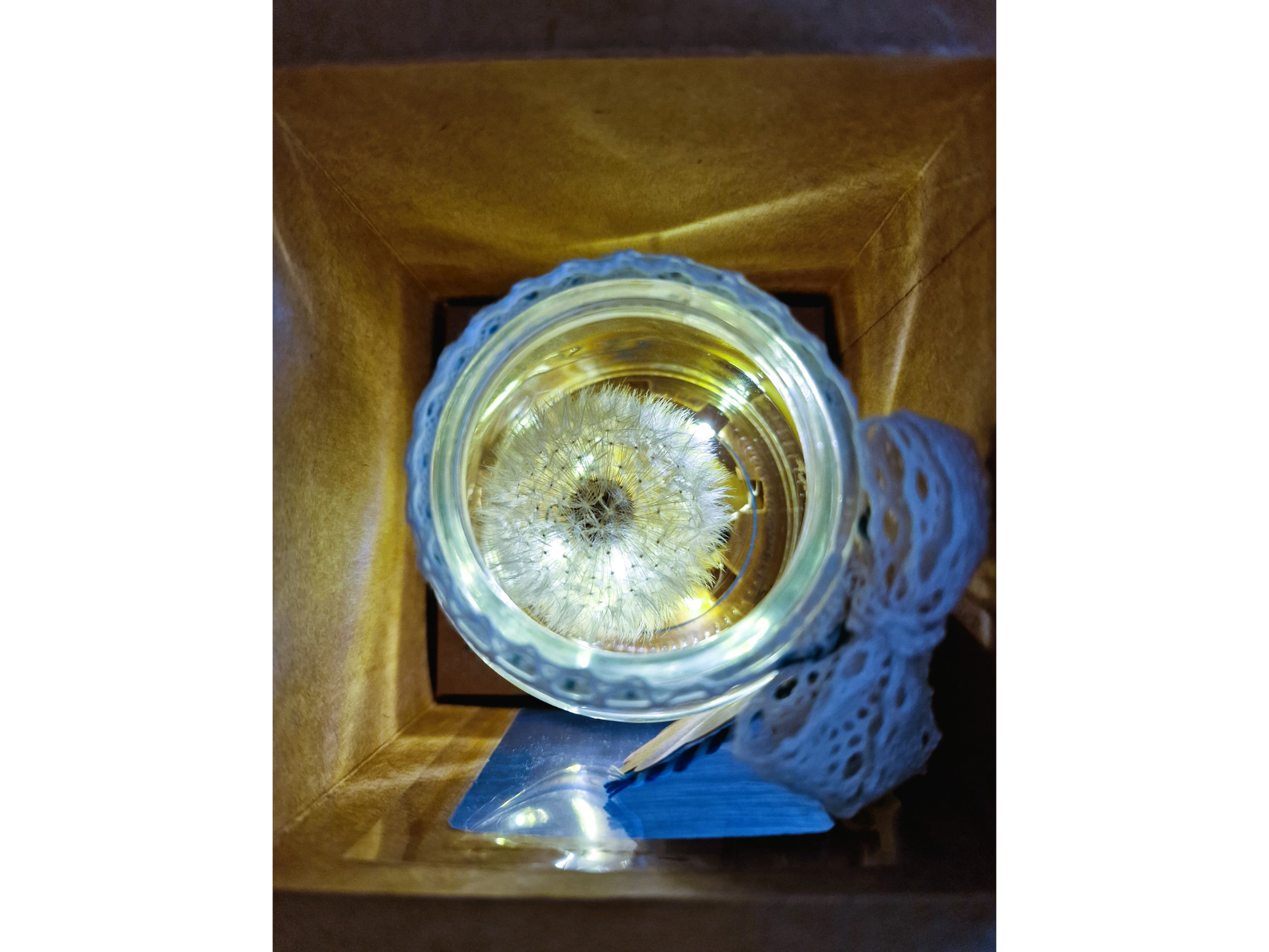 Wunsch im Glas mit echter Pusteblume | Geschenk für Freundin, Mama, Kollegin, Lehrerin | Wunscherfüller | Opt. mit Lichterkette I Abschied